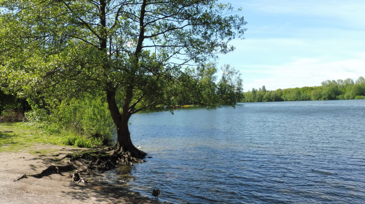 SPD Ortsverein Eversburg